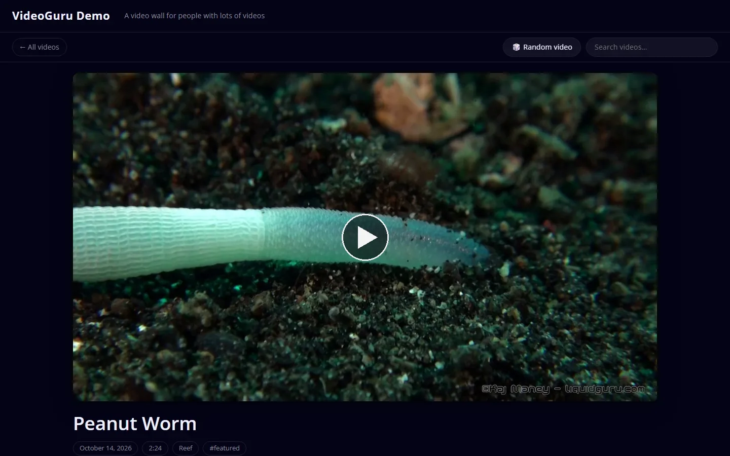 A single video page with the player, the title, the date, length and category tags