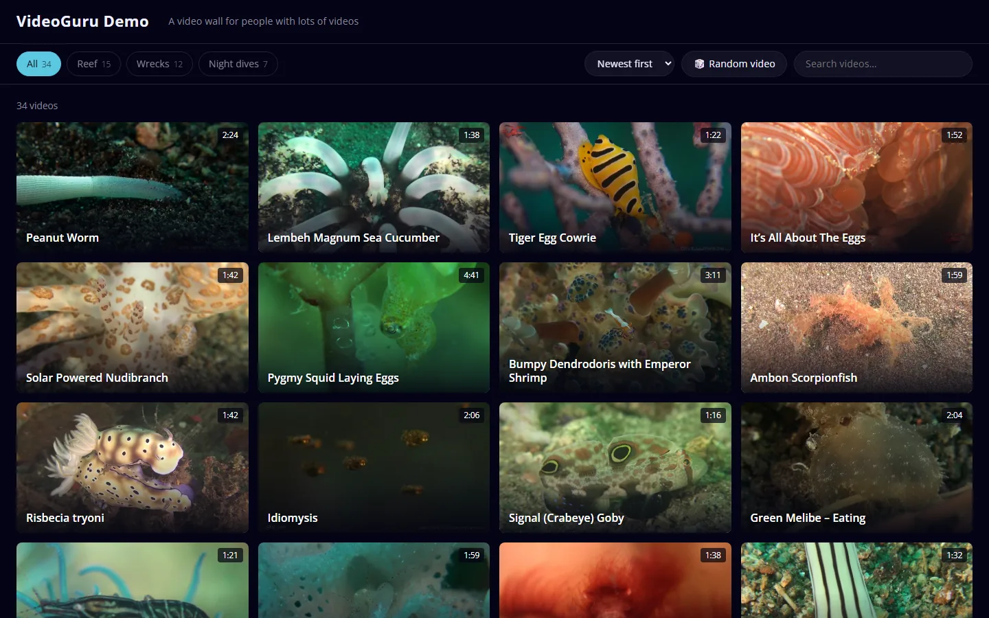 The VideoGuru video wall: a grid of large video thumbnails with category filter chips, a sort menu, a Random video button and a search box