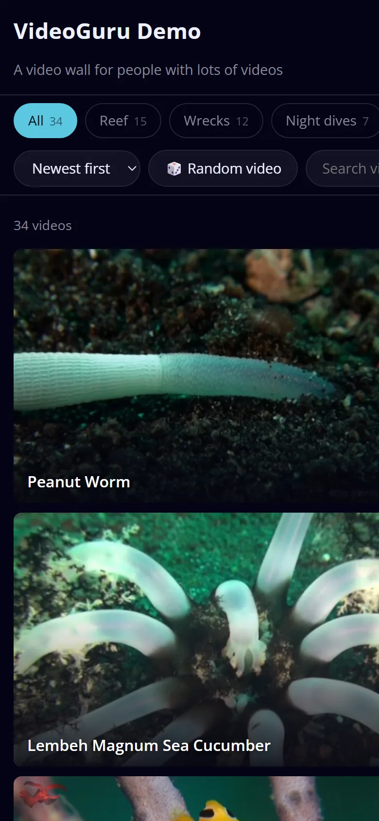 The wall on a phone: scrolling filter chips, a Random button and a search box above a single column of thumbnails